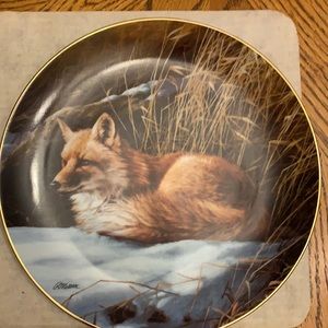 Winter repose- red fox